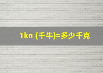 1kn (千牛)=多少千克